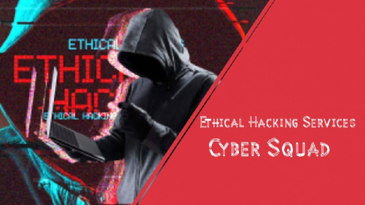 Other professional services; Exp: More than 15 year