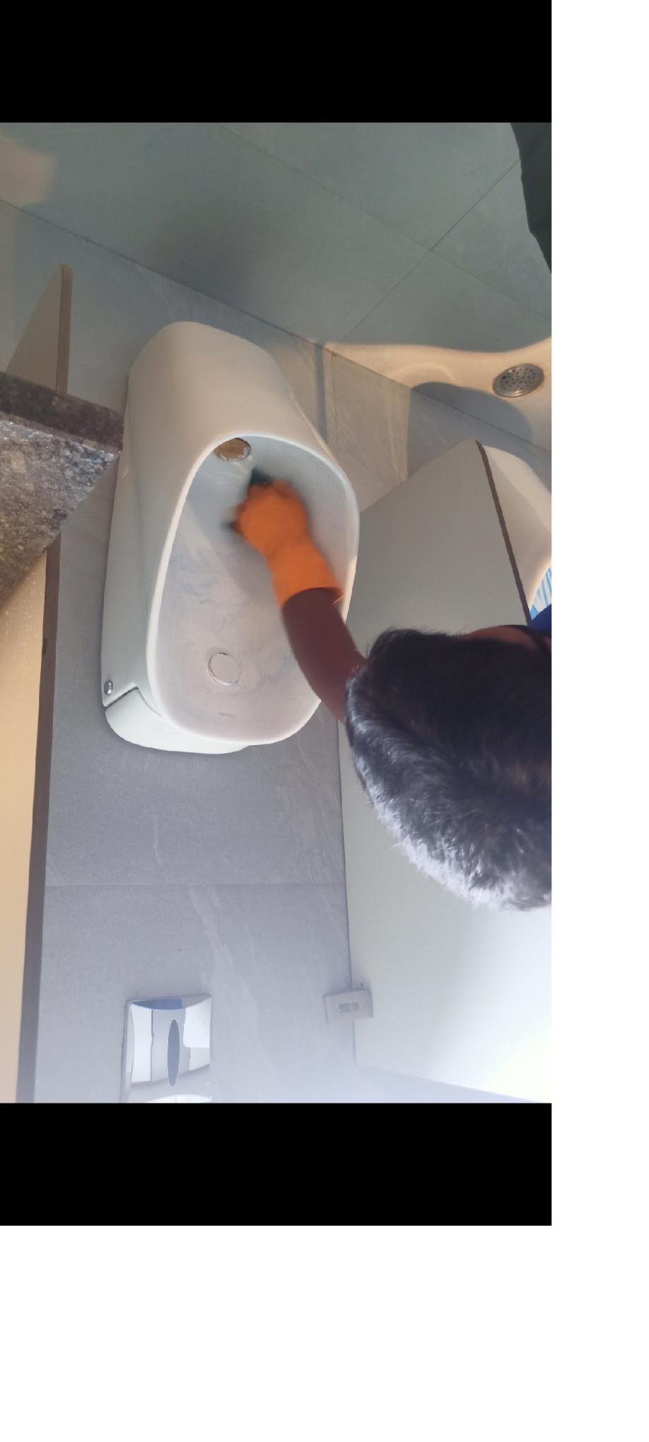 Other professional services; Exp: More than 10 year