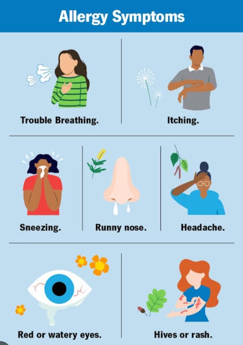 Other health care/ medical services; Exp: More than 15 year