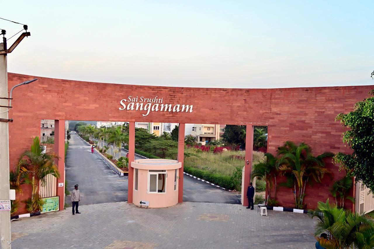 Real estate agent/ management