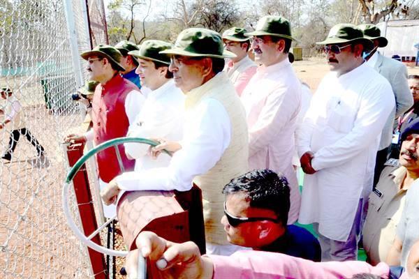 Shivpuri will get global recognition with the arrival of tigers in the Park 