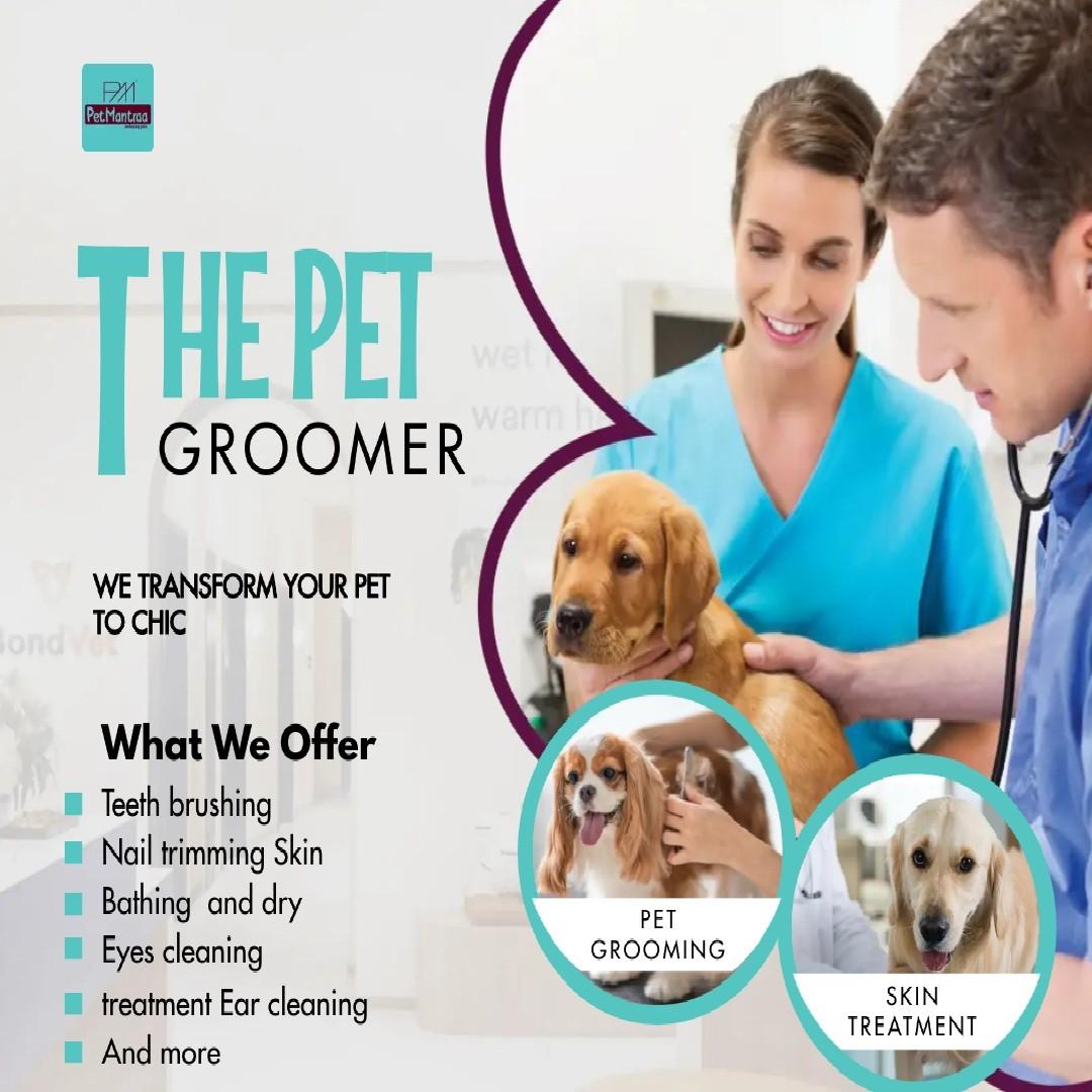 Veterinary Doctors, Veterinary Services