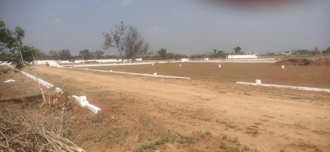 Real estate agent/ management; Exp: More than 15 year