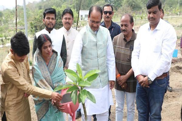 Shri Chouhan plant saplings along with social workers and media representatives