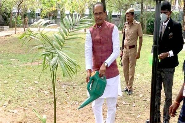 CM Shri Chouhan plants sapling during his stay in Chennai