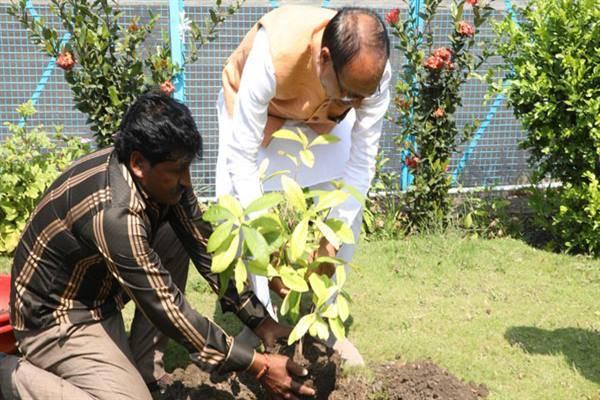 CM Shri Chouhan plants saplings at the Government Airport