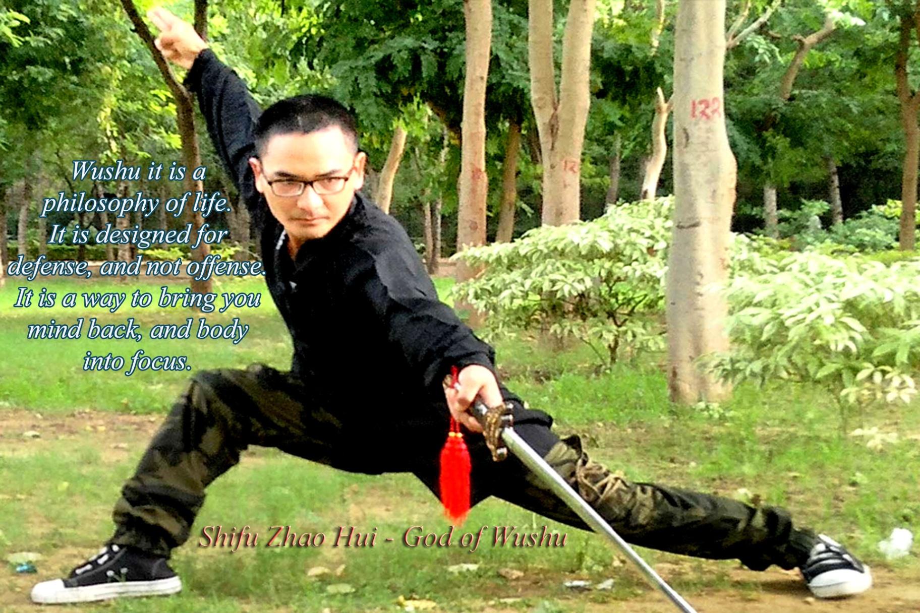 Learn Authentic Training Martial Arts  Maga, Jeet Kune Do, Kickboxing, Muay Thai, Self Defense and more