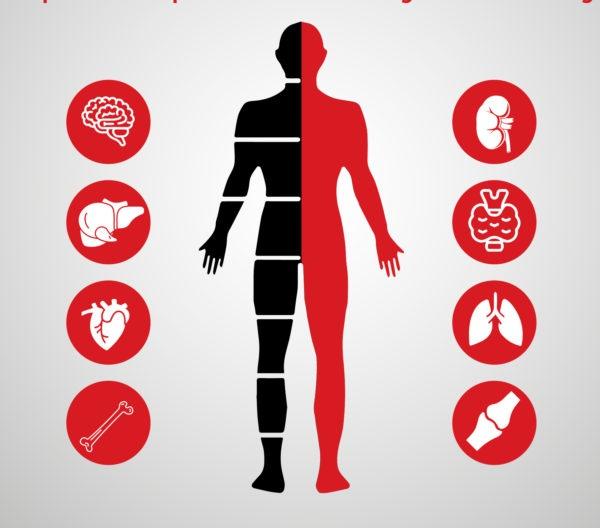 The Cost of Full Body Checkup in Kolkata: Understanding the Prices and Packages