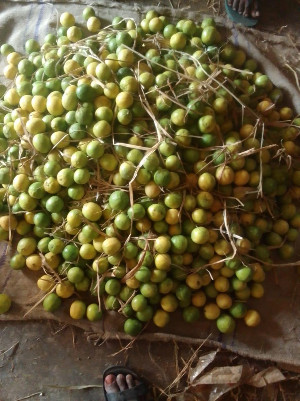 Lemon wholesale dealer.