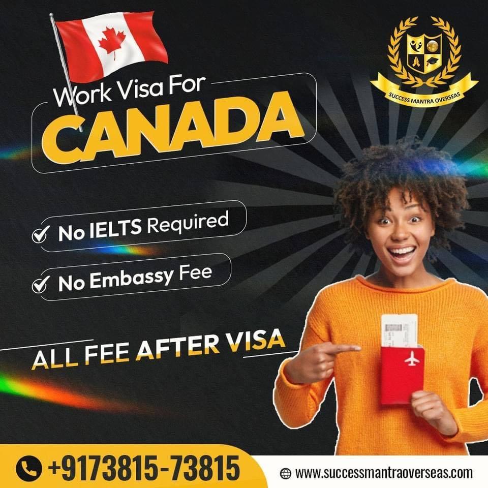 Embassy Services, International Tour; Exp: More than 15 year