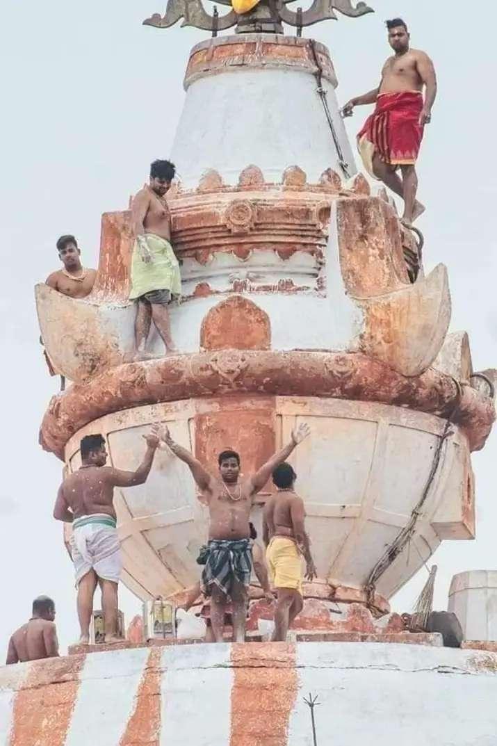 Wild Life Tour, Travel agents; Exp: More than 15 year