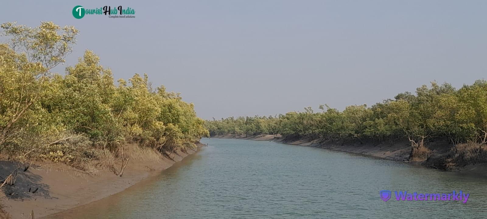 Wild Life Tour, Travel agents