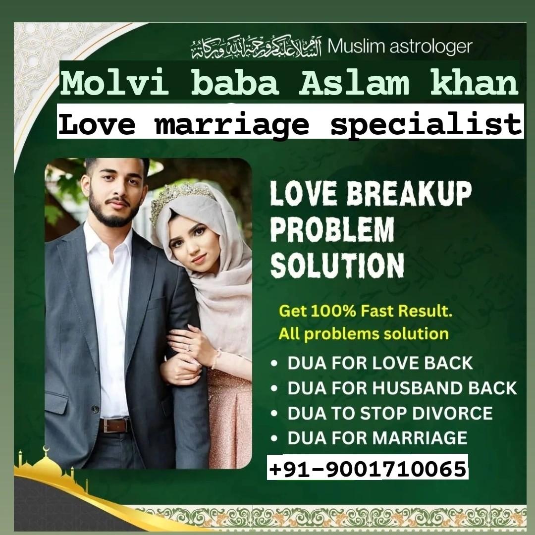 Astrologer, Fortune Telling/ Astrology; Exp: More than 15 year