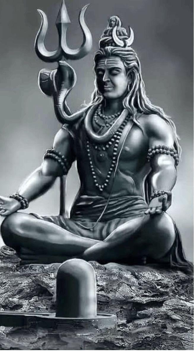 Electrician, Plumber; Exp: More than 5 year