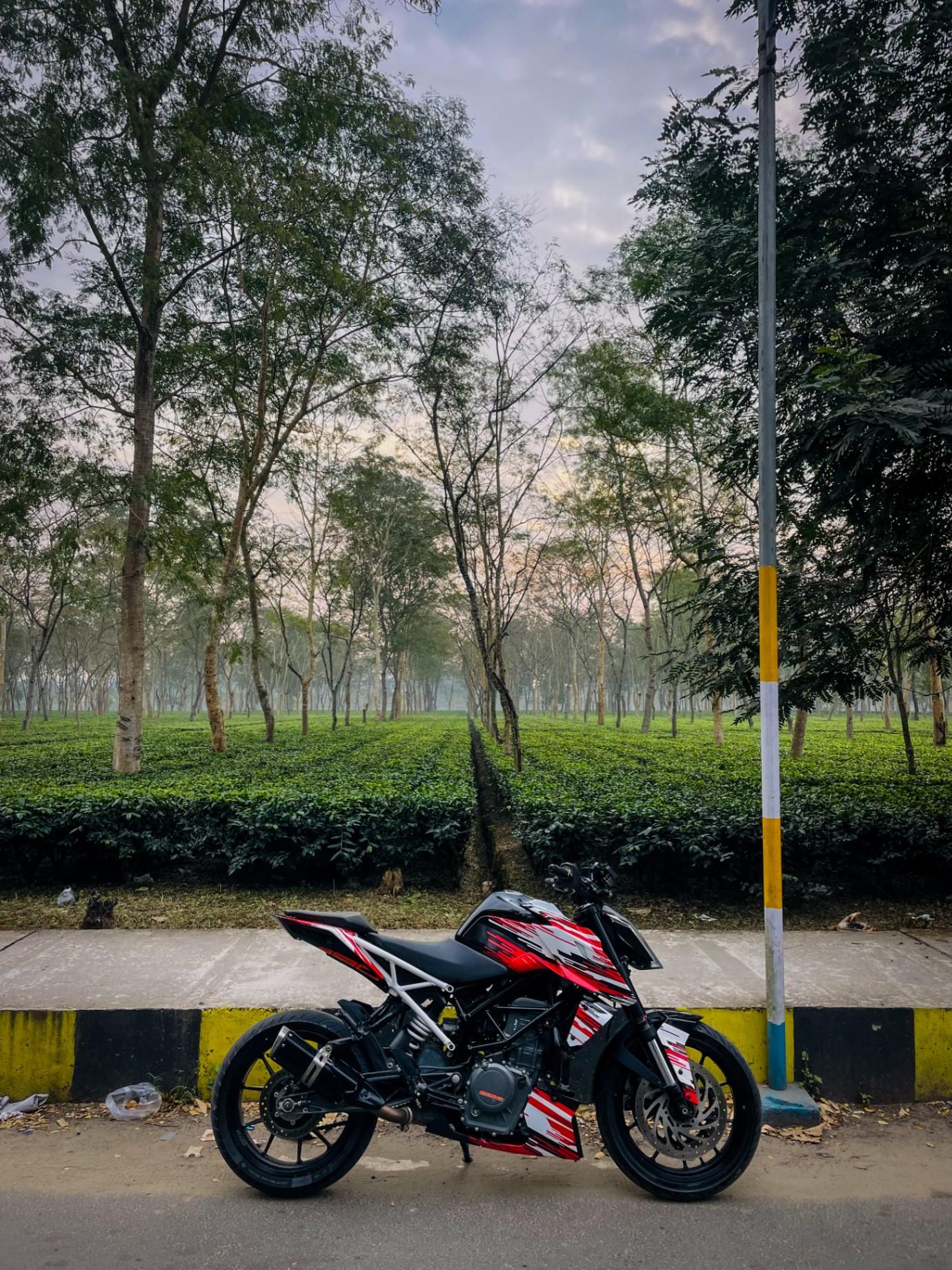 Video/ Audio Services, Web Designing, Graphic Designer; Exp: Some experience (0-1 years)