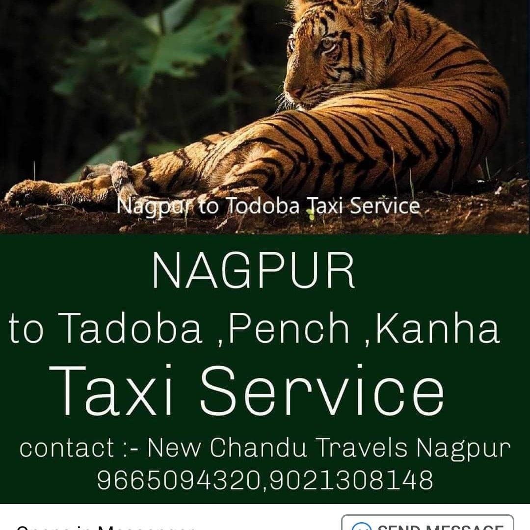 Wild Life Tour, Travel agents; Exp: More than 15 year