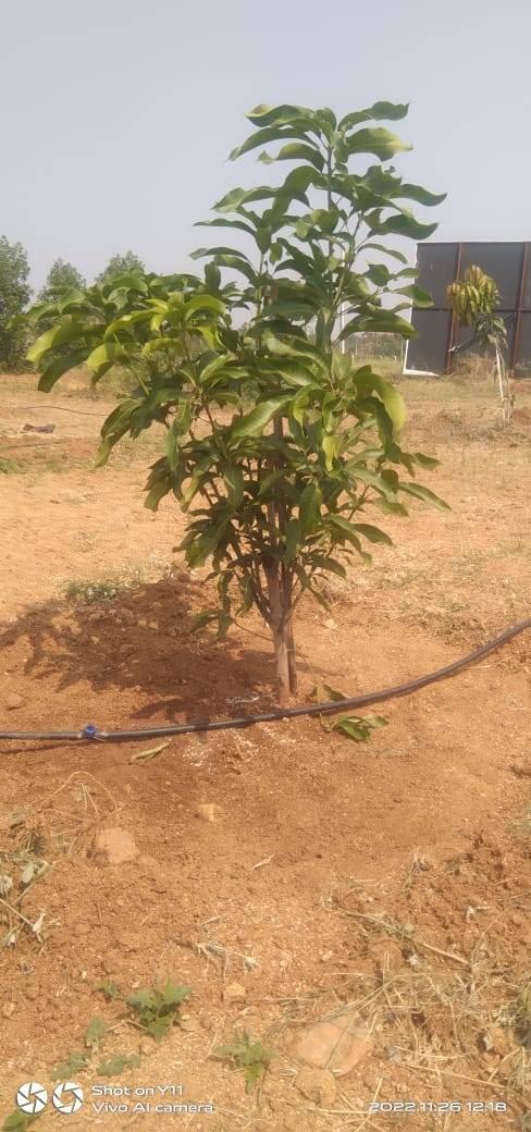 Builders/ Architects; Exp: More than 10 year