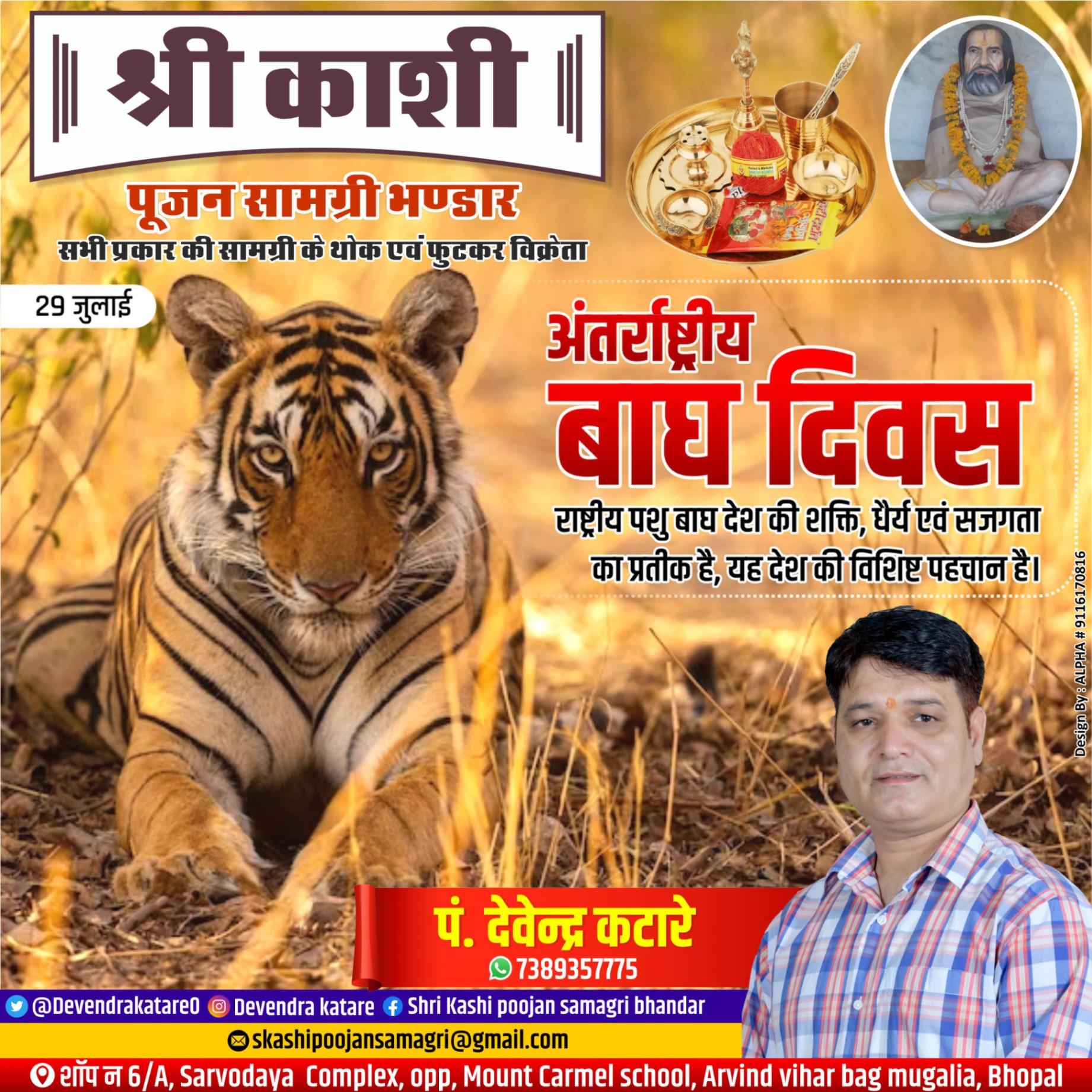 Other domestic services; Exp: More than 5 year