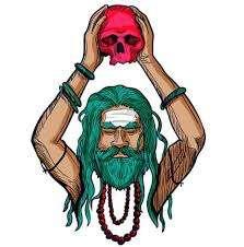 Best Astrologer guru ji in India +91-9910352955