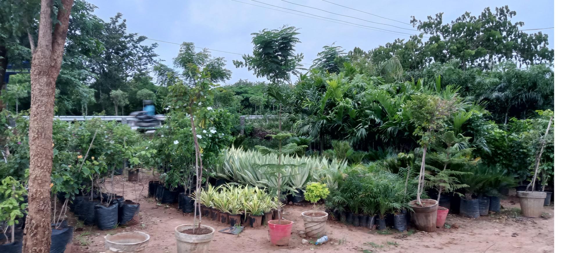 Gardening/ Landscaping; Exp: More than 15 year