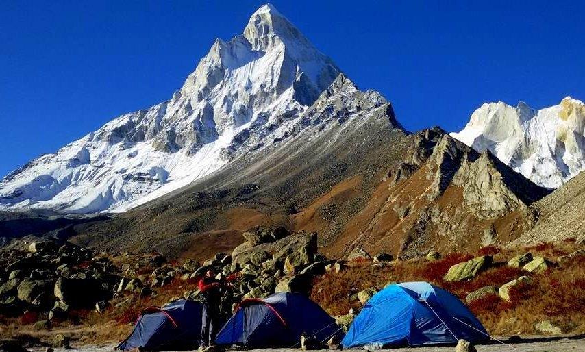 Pilgrimage Tour, Wild Life Tour