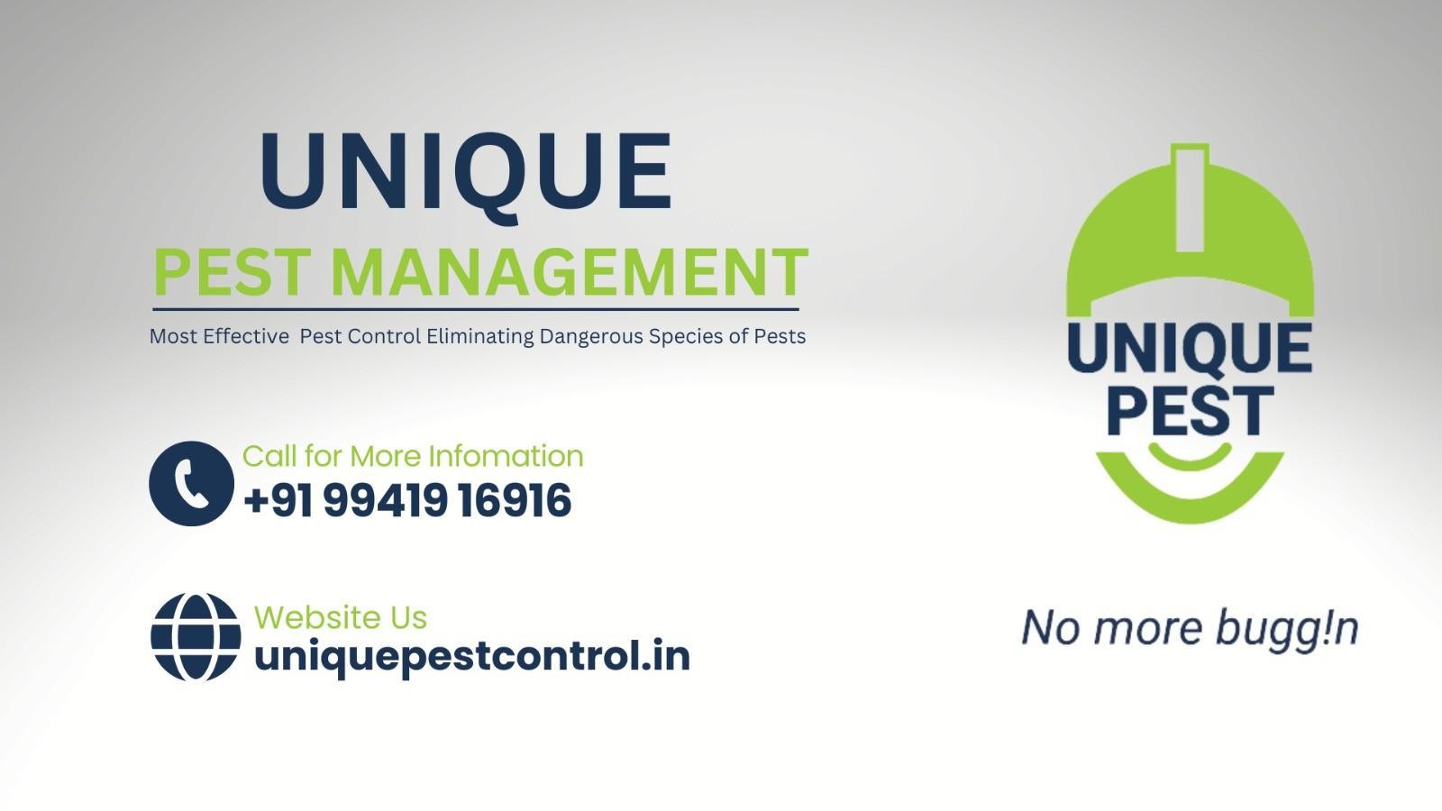 Pest Control; Exp: More than 15 year