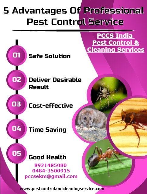 ISO Certified Pest Control Services