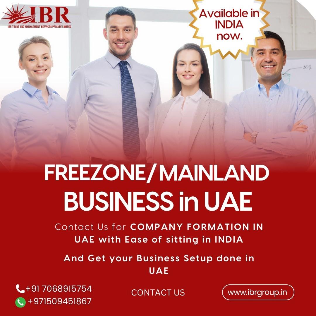 Business Setup In Dubai | IBR Group India
