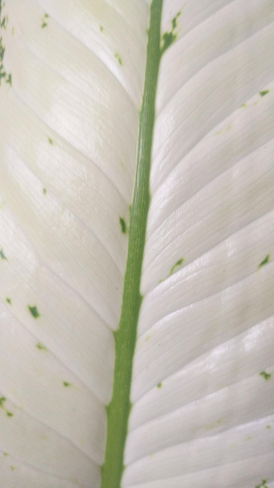 Travel agents; Exp: More than 10 year