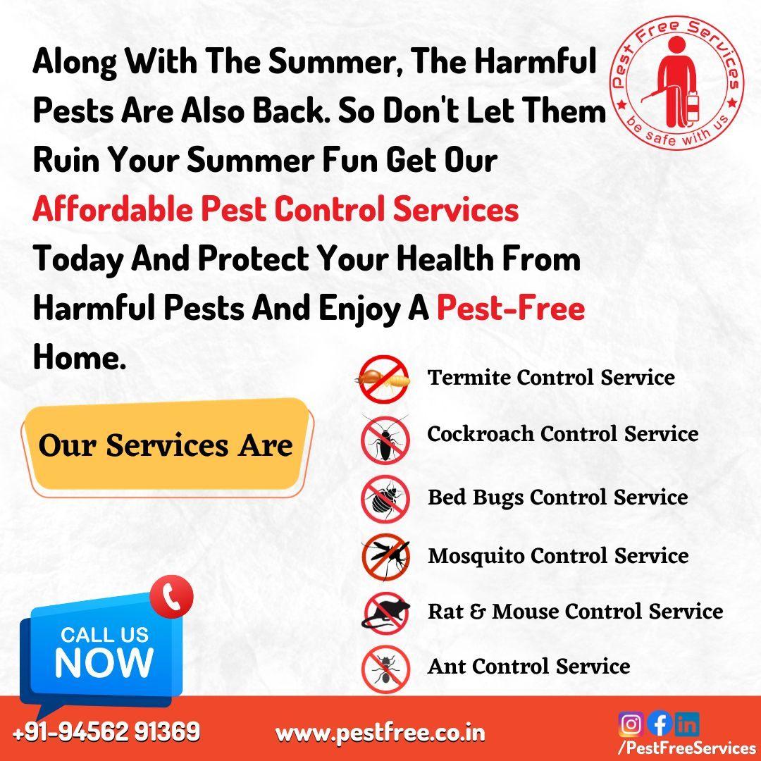 Pest Control; Exp: More than 15 year