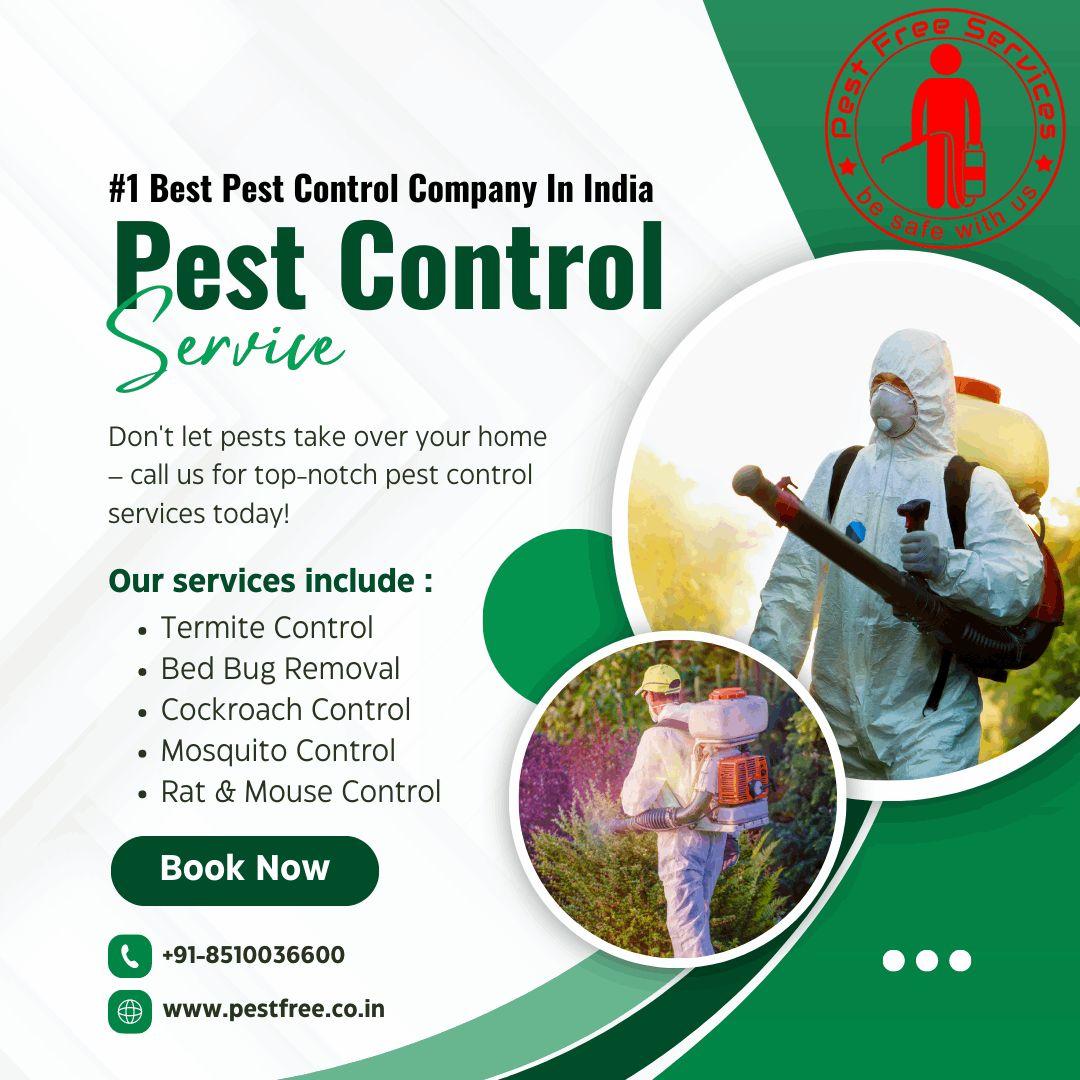 Pest Control; Exp: More than 15 year