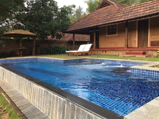 International Tour, Travel agents; Exp: More than 10 year