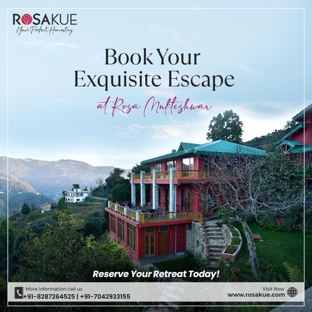 International Tour, Travel agents; Exp: More than 15 year