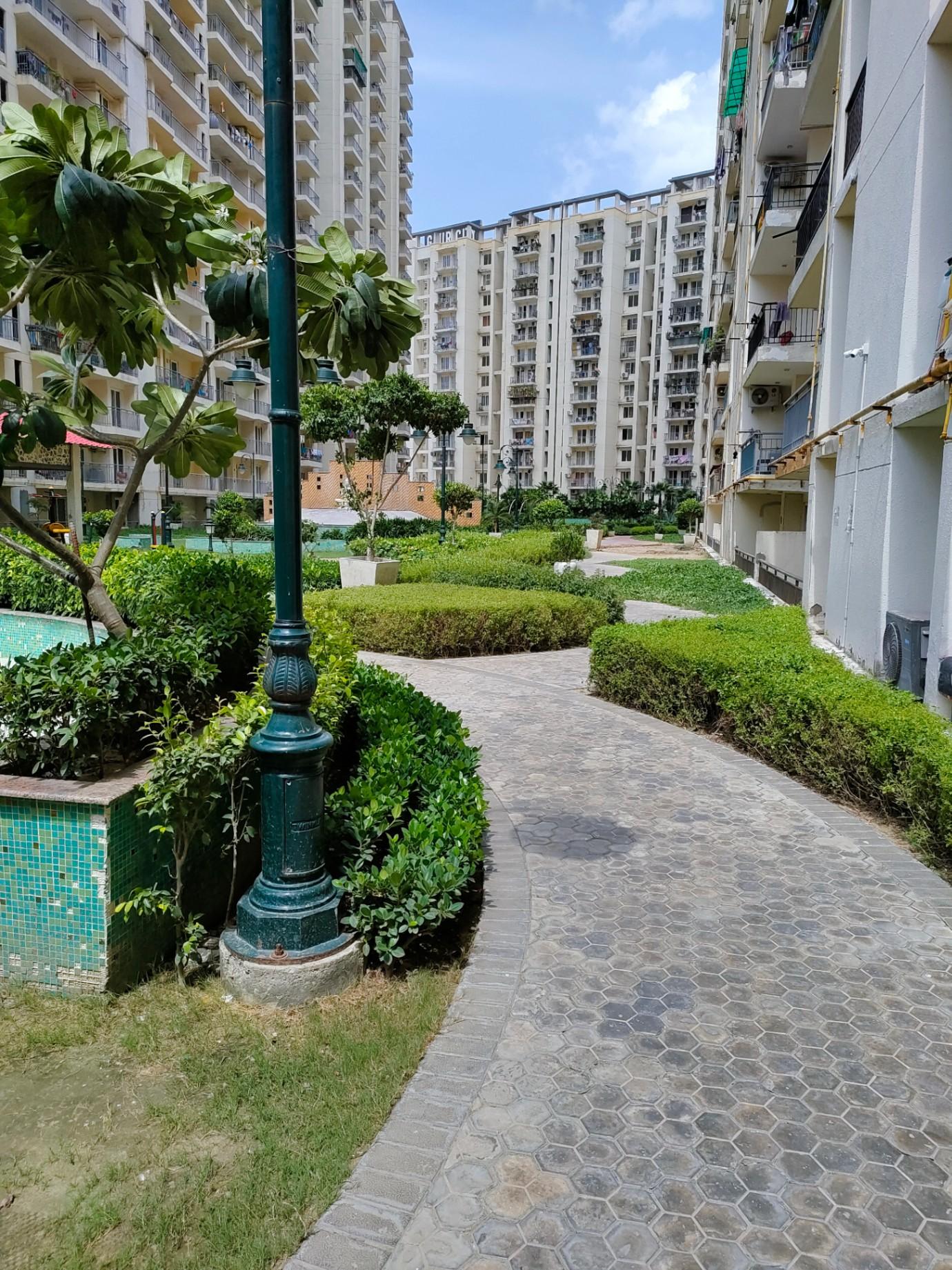 Real estate agent/ management