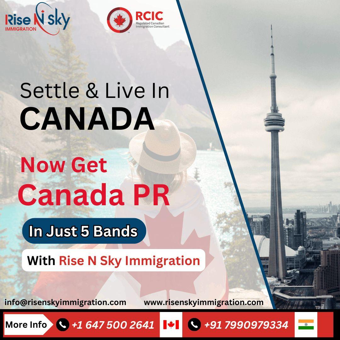 Legal services/ Lawyers