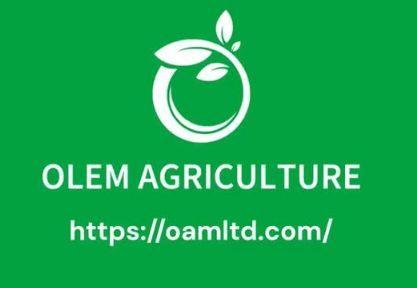 Work from home   MAKE MONEY ONLINE 