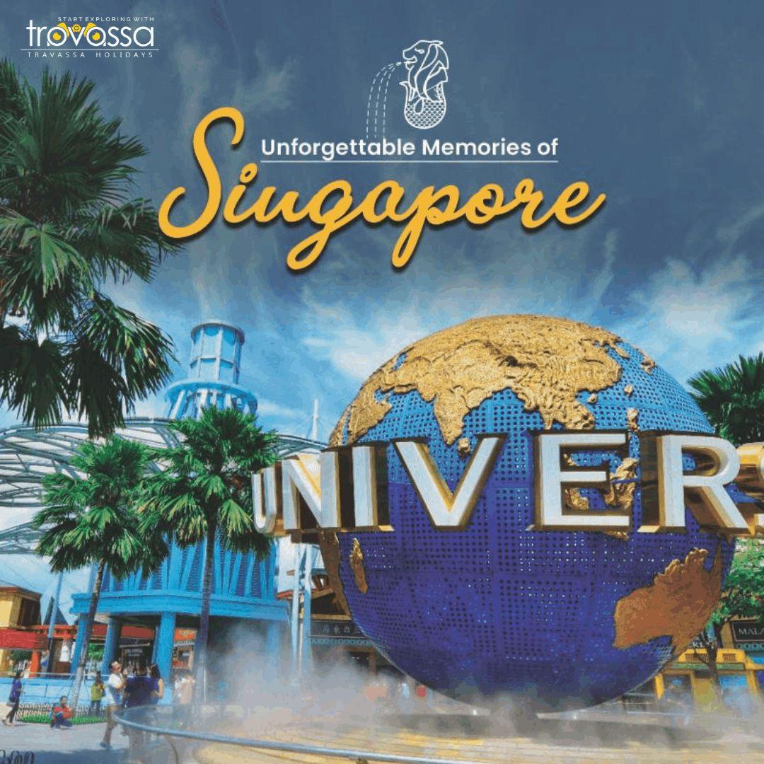 International Tour, Travel agents; Exp: More than 5 year