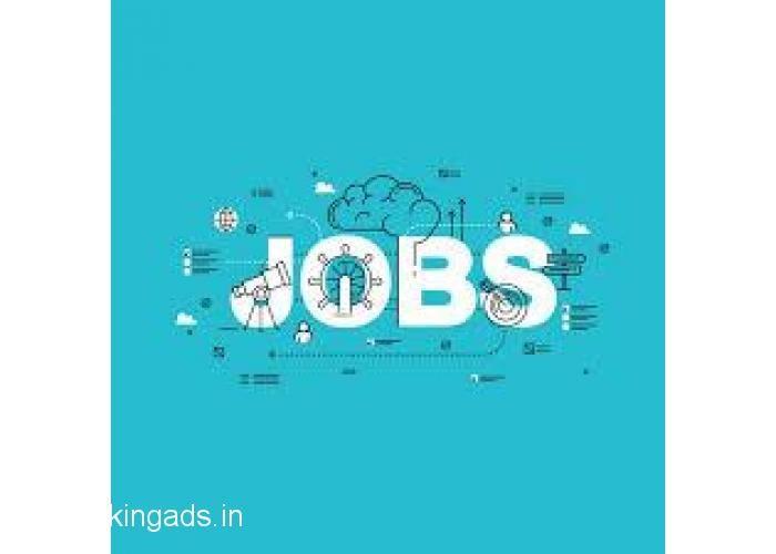 pega Developer Fresher Jobs Hyderabad 