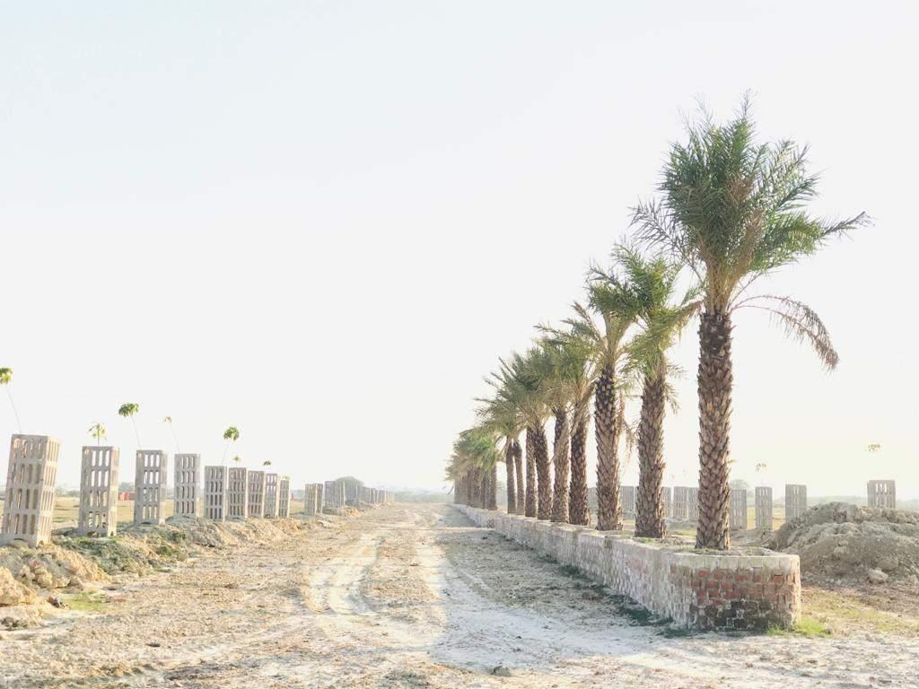 Invest in residential Land/ Plot in A Lucknow city