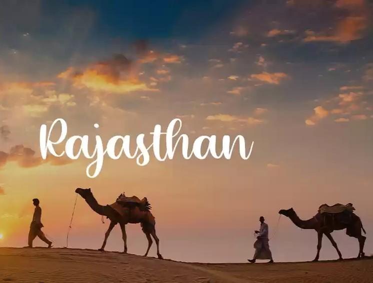 Cruise Tours, Flight Tickets, Honeymoon Packages, International Tour, Road Tours; Exp: More than 5 year