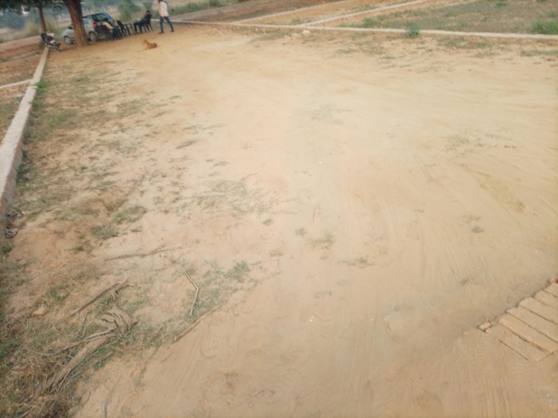 Real estate agent/ management; Exp: Some experience (0-1 years)