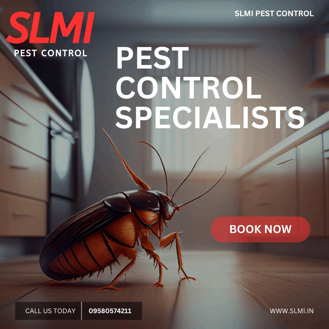 Pest Control; Exp: More than 5 year