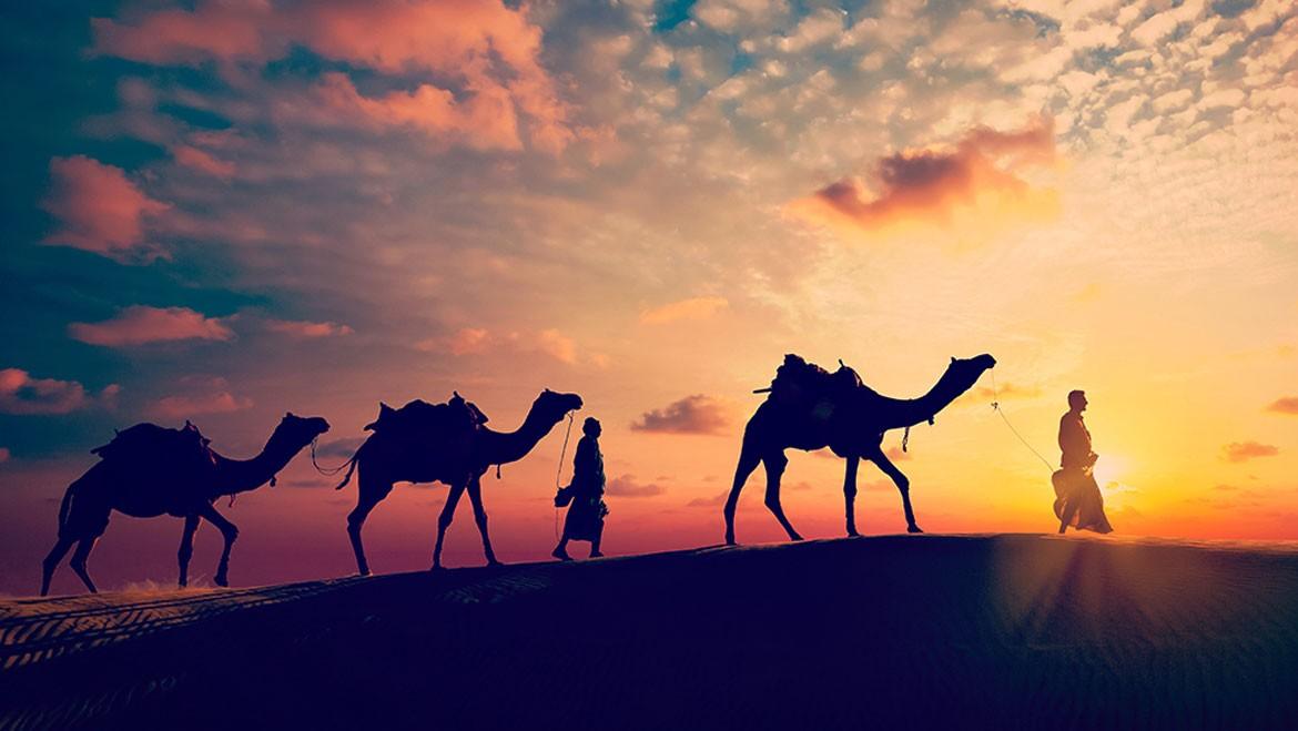 Rajasthan Package For 2 Nights 3 Days-My Rajasthan Trip