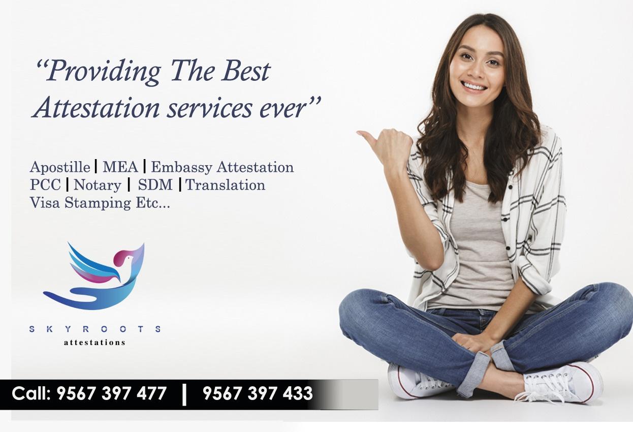 Apostille Services /MEA Attestation, Embassy Services; Exp: 4 year