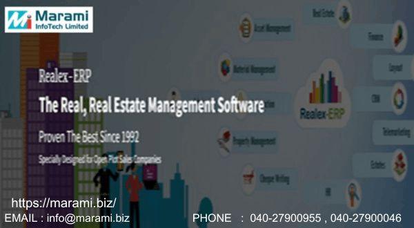 Accounting/ Tax services, Real estate agent/ management, Web Designing