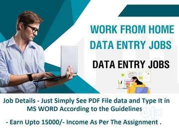 Data Entry Work, Resume Correction,PDF Converter