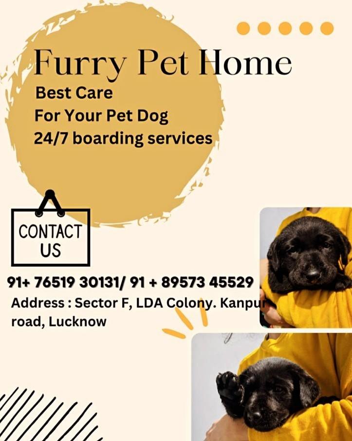 Dog boarding service and day care