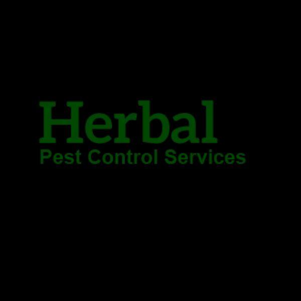 Pest control service | Mumbai 