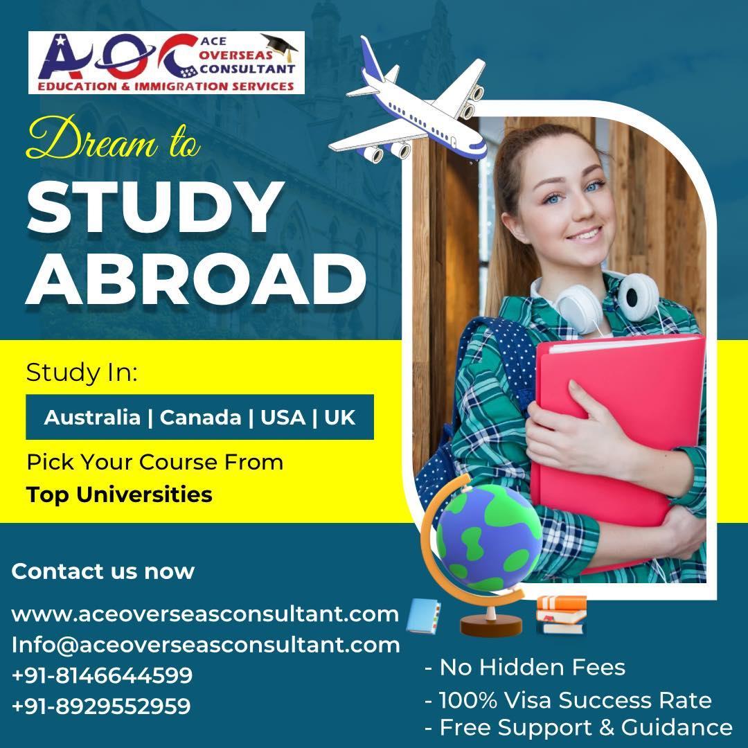 Cruise Tours, Embassy Services, Flight Tickets, Honeymoon Packages, International Tour; Exp: More than 10 year