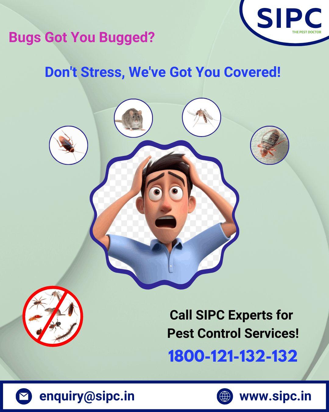 Pest Control Services in Hyderabad